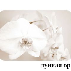 БОСТОН опоры Брифинг в Ижевске - izhevsk.mebel24.online | фото 18