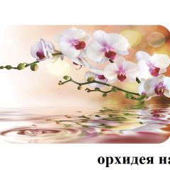 БОСТОН опоры Брифинг в Ижевске - izhevsk.mebel24.online | фото 21
