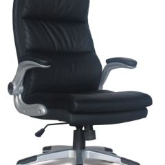 Кресло офисное BRABIX "Fregat EX-510" (рециклированная кожа, черное) 530863 в Ижевске - izhevsk.mebel24.online | фото