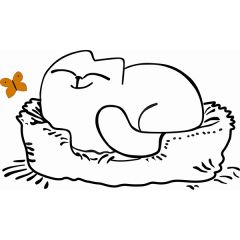 Кровать двухуровневая Кот № 900.1 ПРАВАЯ (туя светлая/белый) в Ижевске - izhevsk.mebel24.online | фото 2
