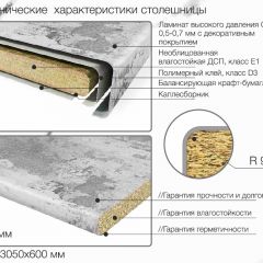 Кухонный фартук со столешницей (А-01) в едином стиле (3050 мм) в Ижевске - izhevsk.mebel24.online | фото 6