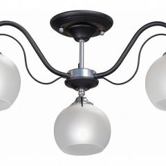 Люстра на штанге Vitaluce 3948 V3948-1/3PL в Ижевске - izhevsk.mebel24.online | фото