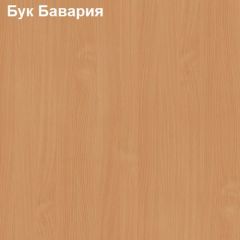 Надставка к столу компьютерному низкая Логика Л-5.1 в Ижевске - izhevsk.mebel24.online | фото 2