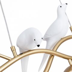 Подвесной светильник Arte Lamp Eltanin A3422SP-4GO в Ижевске - izhevsk.mebel24.online | фото 4