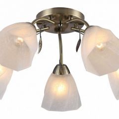 Потолочная люстра Rivoli Olivia Б0052693 в Ижевске - izhevsk.mebel24.online | фото