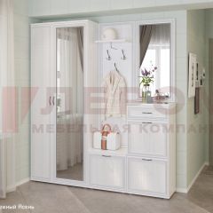 Прихожая Карина композиция 1 (Снежный ясень) в Ижевске - izhevsk.mebel24.online | фото