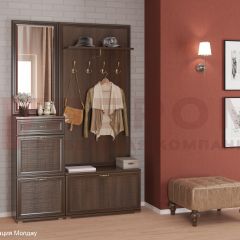 Прихожая Карина композиция 2 (Акация Молдау) в Ижевске - izhevsk.mebel24.online | фото