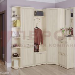 Прихожая Карина композиция 5 (Ясень Асахи) в Ижевске - izhevsk.mebel24.online | фото