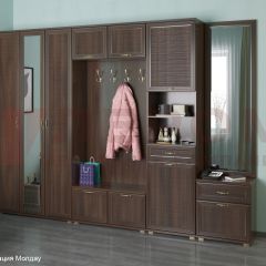Прихожая Карина композиция 6 (Акация Молдау) в Ижевске - izhevsk.mebel24.online | фото