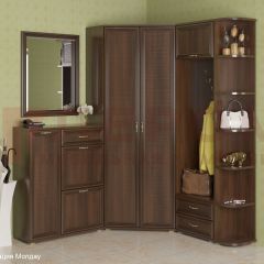 Прихожая Карина композиция 8 (Акация Молдау) в Ижевске - izhevsk.mebel24.online | фото