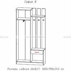 Прихожая София 8 в Ижевске - izhevsk.mebel24.online | фото 2