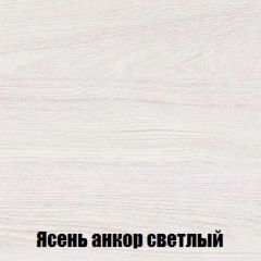 Шкаф 2-х створчатый МСП-1 (Ясень Анкор светлый) в Ижевске - izhevsk.mebel24.online | фото 4