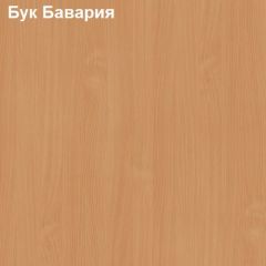 Шкаф для документов с нижними дверями Логика Л-9.3 в Ижевске - izhevsk.mebel24.online | фото 3