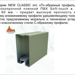 Шкаф-купе 1500 серии NEW CLASSIC K2+K2+B2+PL2(2 ящика+1 штанга+1 полка) профиль «Капучино» в Ижевске - izhevsk.mebel24.online | фото 17