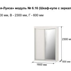 Шкаф-купе 1600 с зеркалом "Мария-Луиза 6.16" в Ижевске - izhevsk.mebel24.online | фото 4