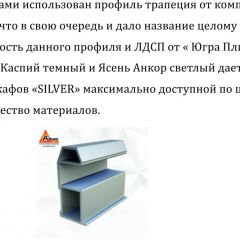 Шкаф-купе 1950 серии SILVER S3+S1+S3Z B22+PL2 (по 2 ящика лев/прав+1штанга+1 полка) профиль «Серебро» в Ижевске - izhevsk.mebel24.online | фото 4