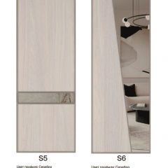 Шкаф-купе 1950 серии SILVER S3+S1+S3Z B22+PL2 (по 2 ящика лев/прав+1штанга+1 полка) профиль «Серебро» в Ижевске - izhevsk.mebel24.online | фото 14