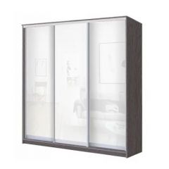 Шкаф-купе ХИТ 23-20-888 (620) в Ижевске - izhevsk.mebel24.online | фото