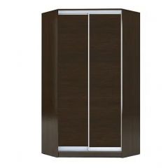 Шкаф-купе ХИТ-У-L-22-64-11 в Ижевске - izhevsk.mebel24.online | фото 2
