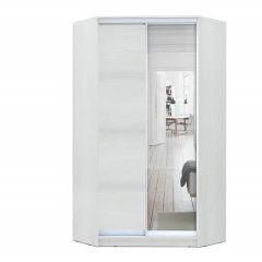 Шкаф-купе ХИТ-У-L-24-64-15 в Ижевске - izhevsk.mebel24.online | фото