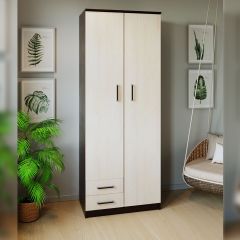 Шкаф распашной ПШ-3.9 в Ижевске - izhevsk.mebel24.online | фото 3