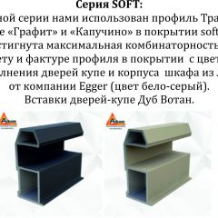 Шкаф-купе 1400 серии SOFT D1+D3+B2+PL1 (2 ящика+1штанга) профиль «Графит» в Ижевске - izhevsk.mebel24.online | фото 5