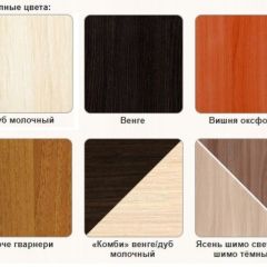 Стол компьютерный СК-5 в Ижевске - izhevsk.mebel24.online | фото 2