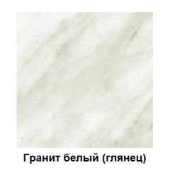 Столешница 1000*h38*600 в Ижевске - izhevsk.mebel24.online | фото