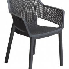 Стул Элиза (Elisa chair) графит в Ижевске - izhevsk.mebel24.online | фото 1