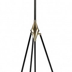 Светильник на штанге Lightstar Modena 816047 в Ижевске - izhevsk.mebel24.online | фото