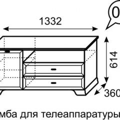 Тумба для телеаппаратуры Венеция 6 бодега в Ижевске - izhevsk.mebel24.online | фото 2