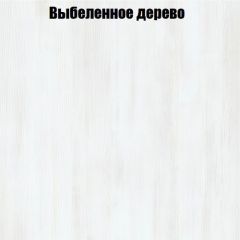 Вешалка V3 в Ижевске - izhevsk.mebel24.online | фото 4
