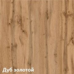 Вуди Стол письменный 12.42 в Ижевске - izhevsk.mebel24.online | фото 3