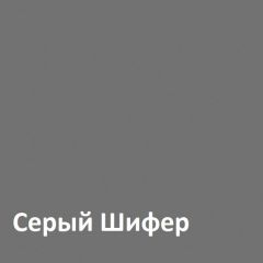 Юнона Шкаф торцевой 13.221 в Ижевске - izhevsk.mebel24.online | фото 2