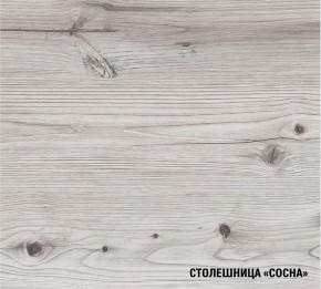 АСАЯ Кухонный гарнитур Мега Прайм 2 (1600*1700 мм) ПМ+СДШ в Ижевске - izhevsk.mebel24.online | фото 8