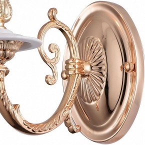 Бра Arte Lamp 8020 A8020AP-1WG в Ижевске - izhevsk.mebel24.online | фото 4