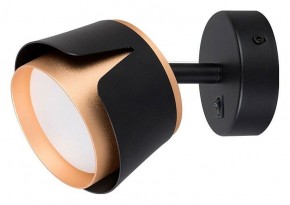 Бра Arte Lamp Amaks A8028AP-1BK в Ижевске - izhevsk.mebel24.online | фото