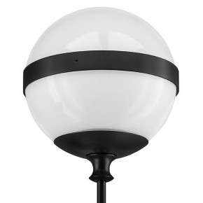 Бра Lightstar Globo 813617 в Ижевске - izhevsk.mebel24.online | фото 3