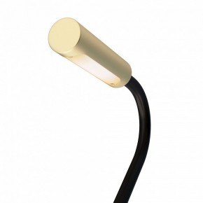 Бра Maytoni Stem C035WL-L3MG3K в Ижевске - izhevsk.mebel24.online | фото 6