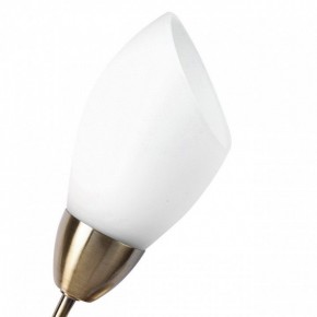 Бра MW-Light Нежность 7 356023001 в Ижевске - izhevsk.mebel24.online | фото 2