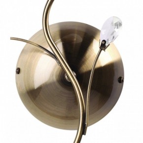 Бра MW-Light Нежность 7 356023001 в Ижевске - izhevsk.mebel24.online | фото 3