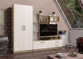 ДАРЬЯ Гостиная (Крафт серый/Крафт белый) в Ижевске - izhevsk.mebel24.online | фото