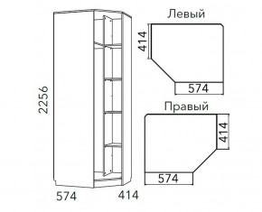 Детская Фанк Шкаф угловой Левый/Правый НМ 013.04-02 М в Ижевске - izhevsk.mebel24.online | фото 3