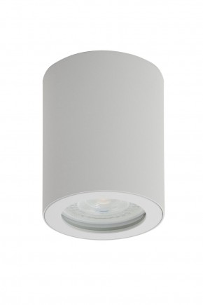 DK3007-WH Накладной светильник влагозащ., IP 44, 15 Вт, GU10, белый, алюминий в Ижевске - izhevsk.mebel24.online | фото 1