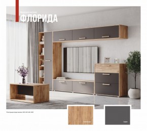ФЛОРИДА Гостиная (модульная) дуб золотой/графит в Ижевске - izhevsk.mebel24.online | фото