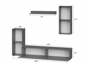 Гостиная МГС 10 (Графит) в Ижевске - izhevsk.mebel24.online | фото 2