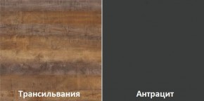 Кухня угловая Трансильвания 2600х1600 мм (Стол. 38 мм) в Ижевске - izhevsk.mebel24.online | фото 3