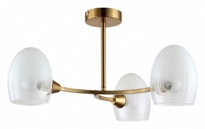 Люстра на штанге Lumion Kendall 6514/3C в Ижевске - izhevsk.mebel24.online | фото