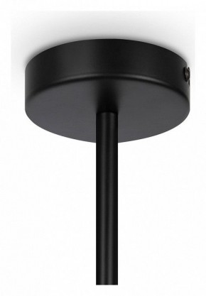 Люстра на штанге Maytoni Memory MOD177PL-04B в Ижевске - izhevsk.mebel24.online | фото 4