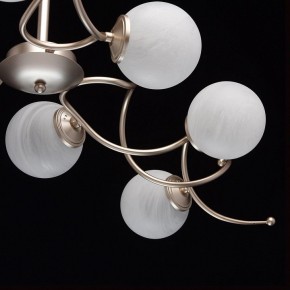 Люстра на штанге MW-Light Оливия 5 306012709 в Ижевске - izhevsk.mebel24.online | фото 10